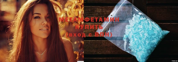 прущие грибы Арсеньев