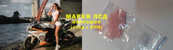 стафф Аркадак