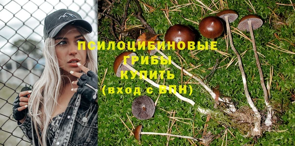 стафф Аркадак